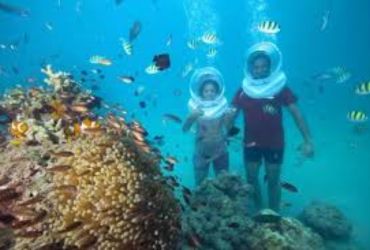 untitled design (10)