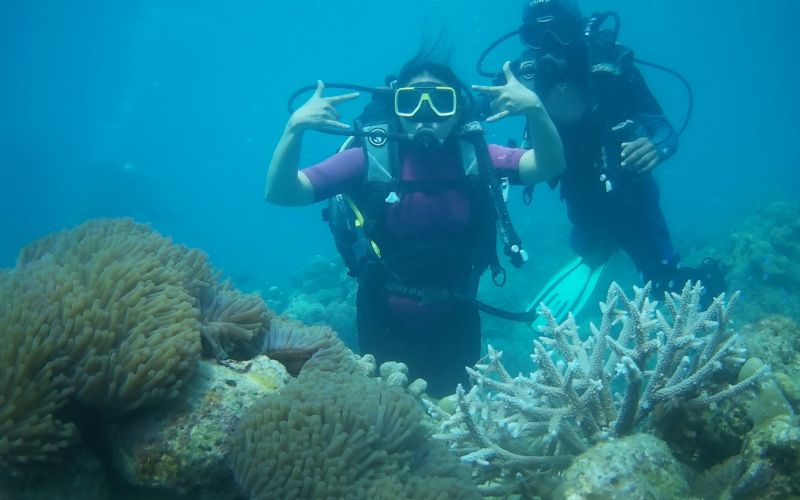 untitled design (21)