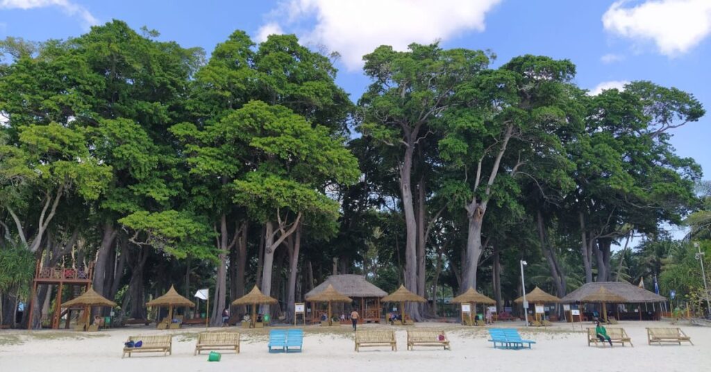 untitled design (29)