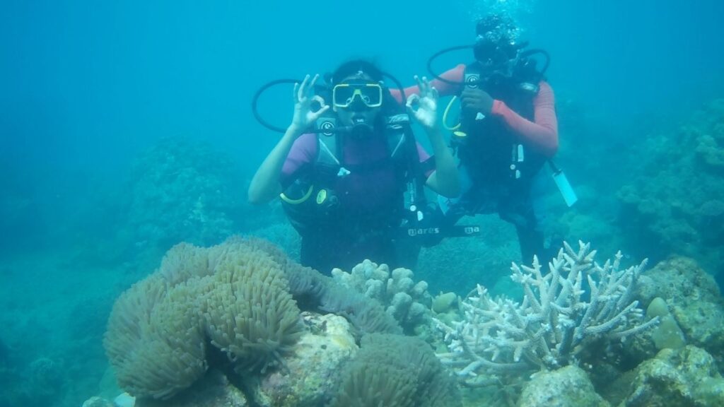 Scuba Diving blue travel offers & deals website